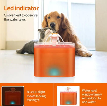 2L Small Pet Water Fountain for Kittens & Small Dogs – Automatic Fresh Water Dispenser