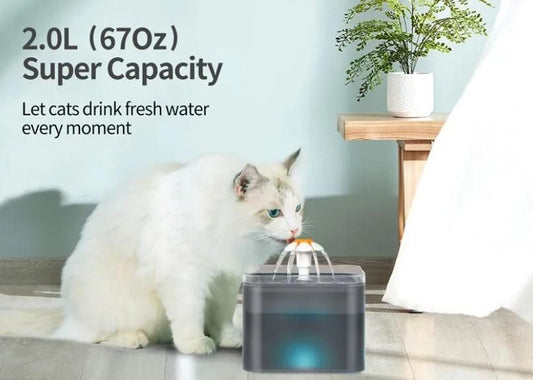 2L Small Pet Water Fountain for Kittens & Small Dogs – Automatic Fresh Water Dispenser